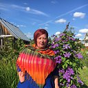  , -, 49  -  11  2021    