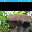  Ƹ, , 48  -  6  2020    