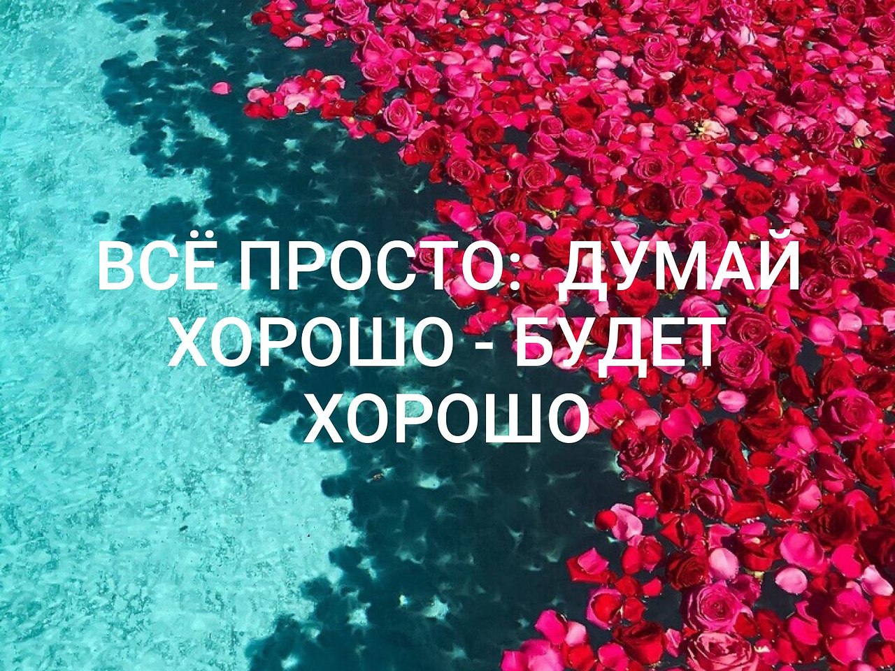   - 29  2020  00:51