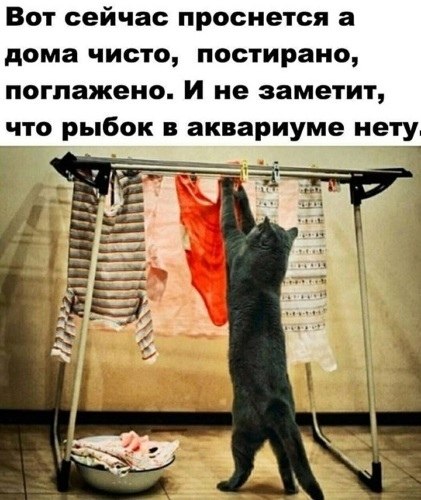 ����� ���������� - 6 ������ 2020 � 19:57