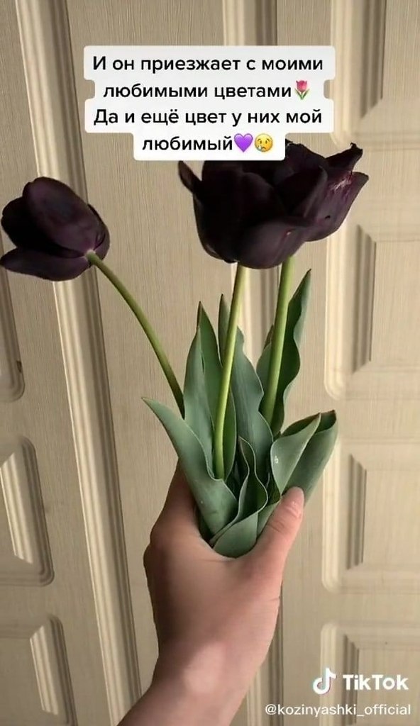 ��� ��� ��������� ������ - 8