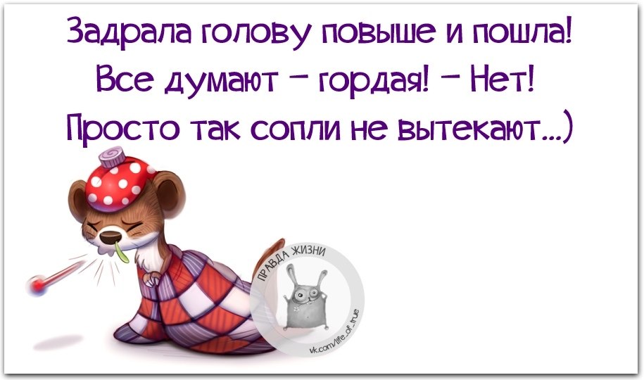   - 19  2021  15:08