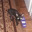 ���� �������, ������, 60 ��� - ��������� 20 ������� 2020