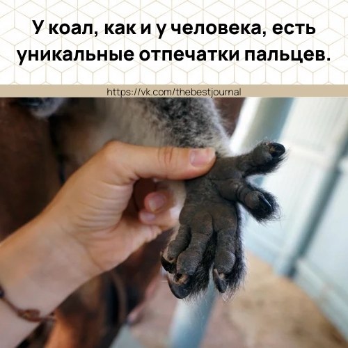 BEST | , ,  - 16  2021  00:42