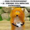 ���� �������, ����, 54 ���� - ��������� 26 �������� 2020 � ������ ���� ����������