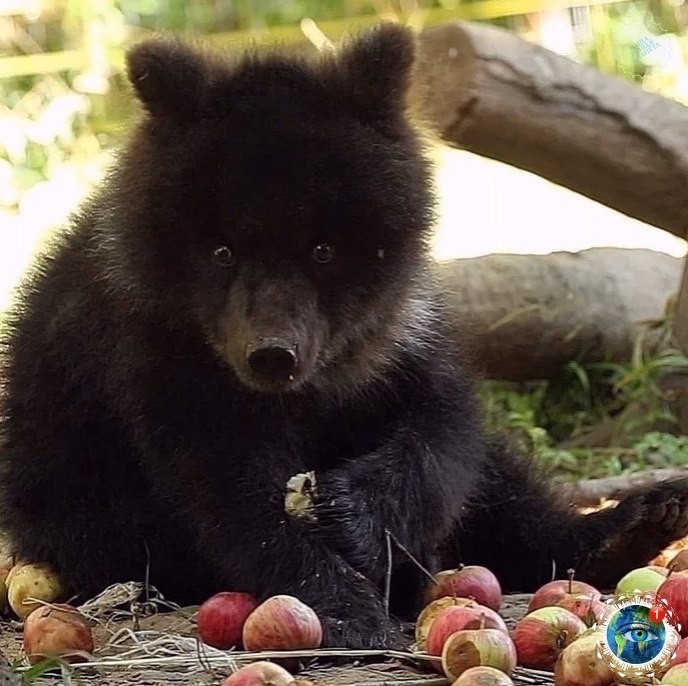 a aa a poa o  a aa p c c p aa  p cac ... - 8