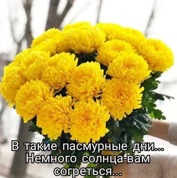   ,    . - 17  2020  23:40