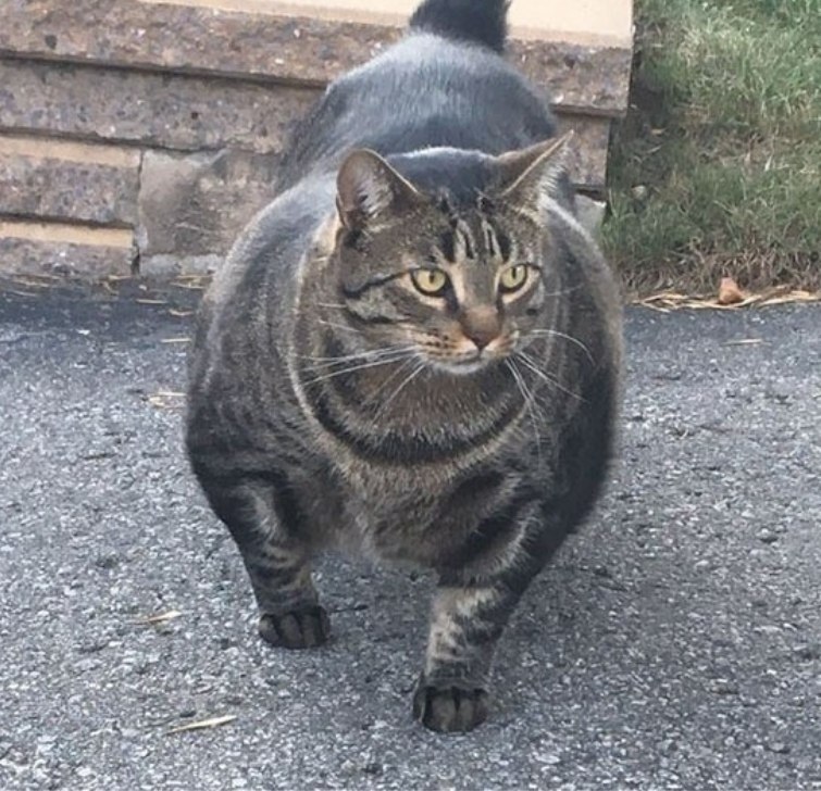        !!!