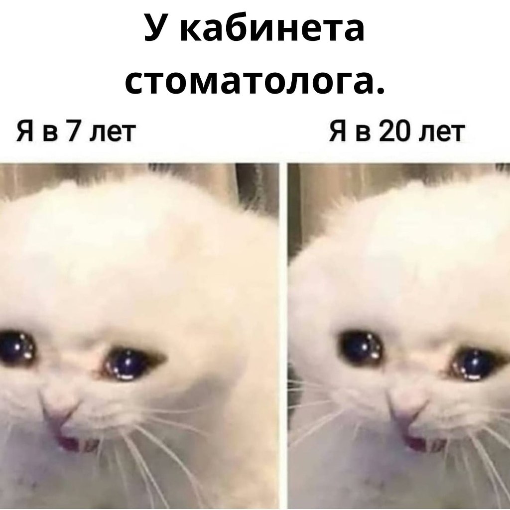   ,    .