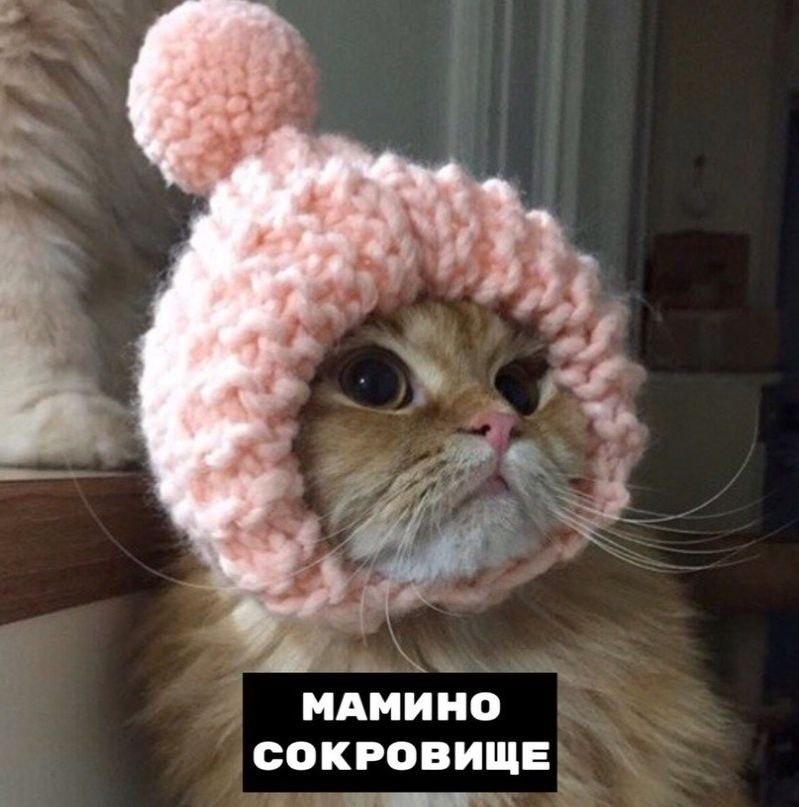    - 6