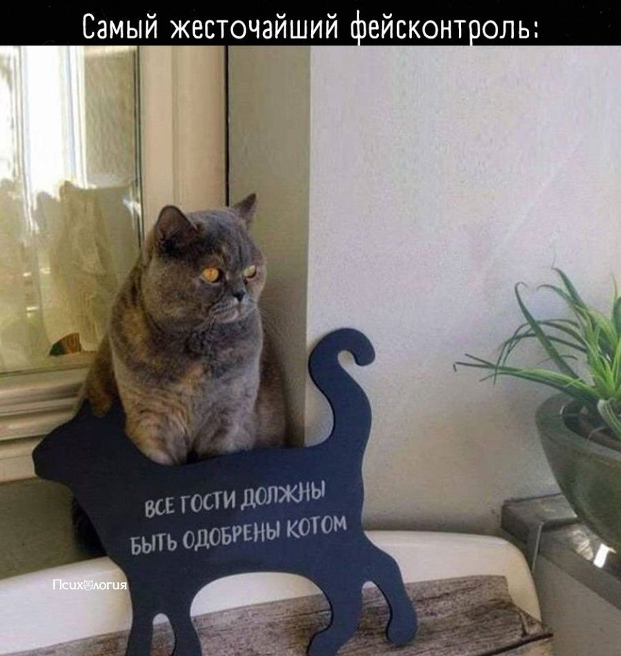     !