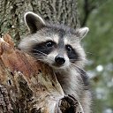 ���� �����, ������ - ��������� 24 ������� 2020