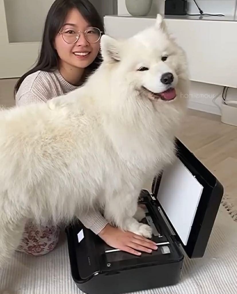  !