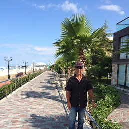 ���� �������, ���� - ��������� 20 ������� 2020