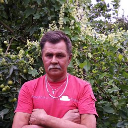 ������, ������������, 65 ���