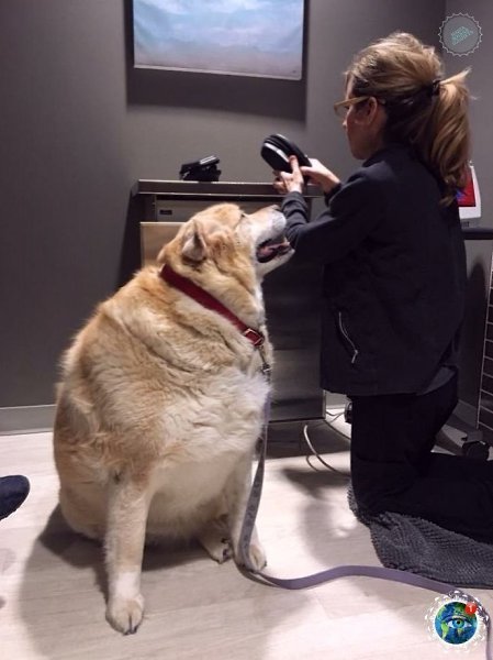 p o pacop oo ap o 79   p c, o pap  oop oo ... - 3