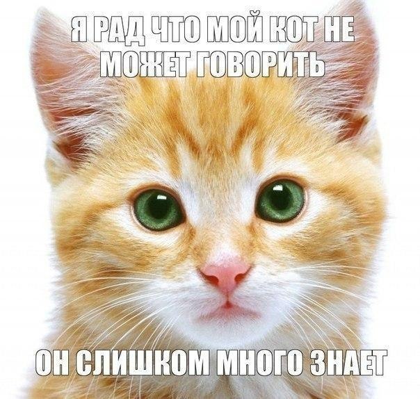    - 8  2021  07:40
