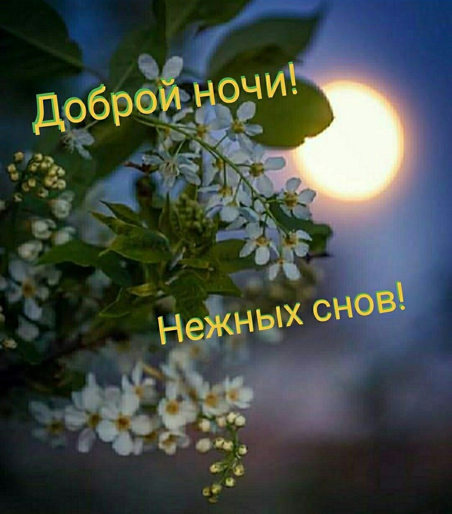   ,    . - 11  2021  22:41 - 4