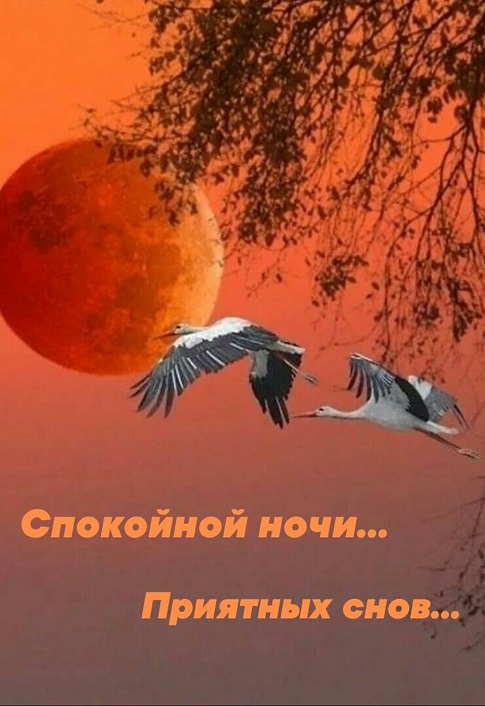   ,    . - 2  2020  21:26 - 8