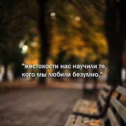 ���� ������, ������ - ��������� 8 ������� 2020