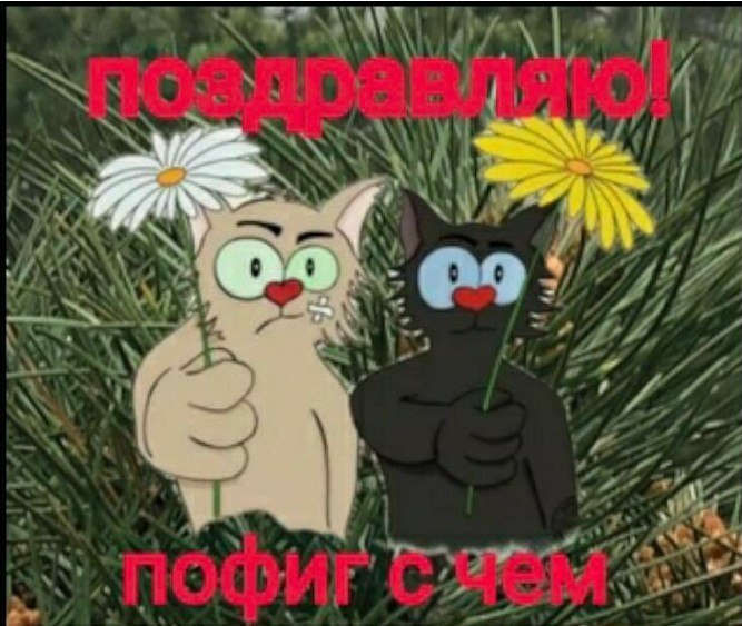  - 8  2020  22:07
