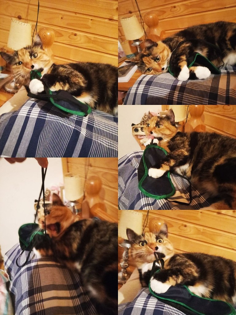  !