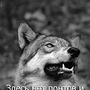 ���� �������, ������ - ��������� 23 ������� 2020 � ������ ���� ����������