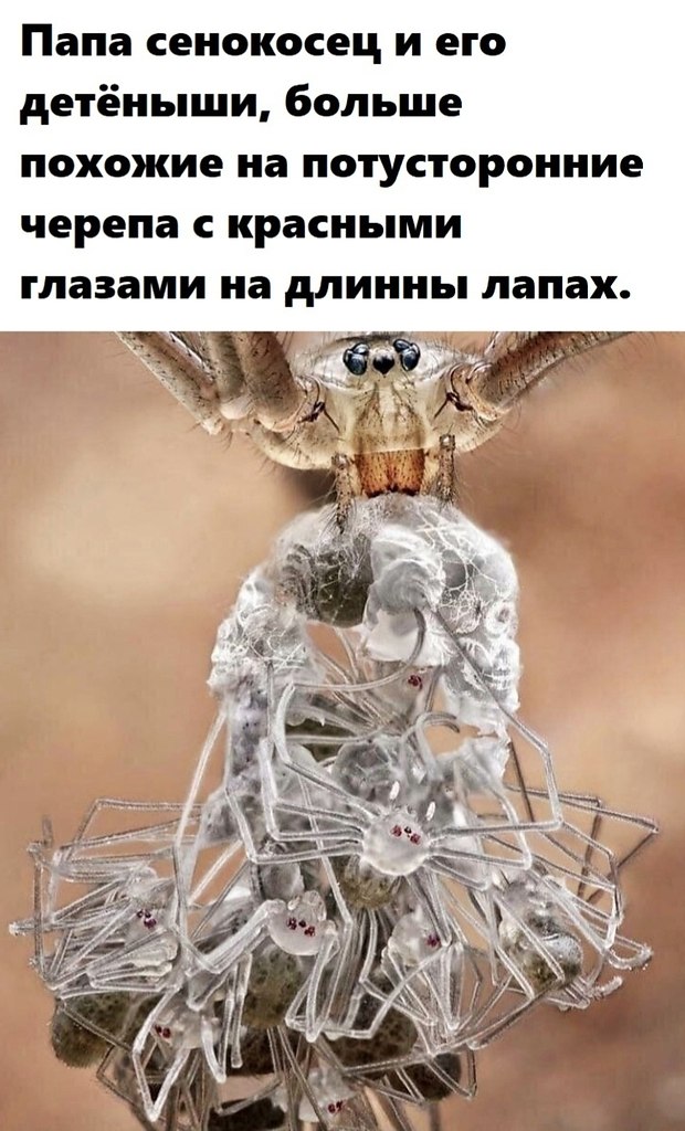 BEST | , ,  - 4  2020  19:07