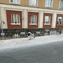 ���� ��������, �����, 59 ��� - ��������� 4 ������ 2020 � ������ ���� ����������