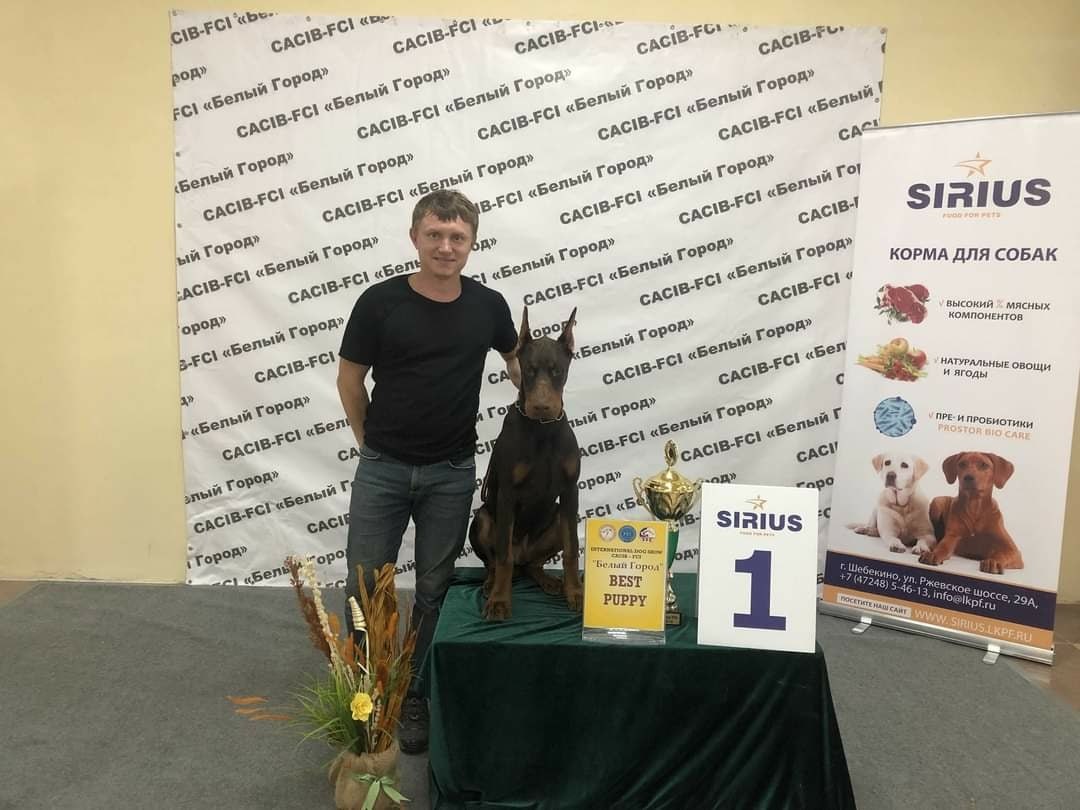 � ��� ��� �� ����������� ���������� ������� �������).04.10.20 CACIB, ��������Judge: ������� ... - 4