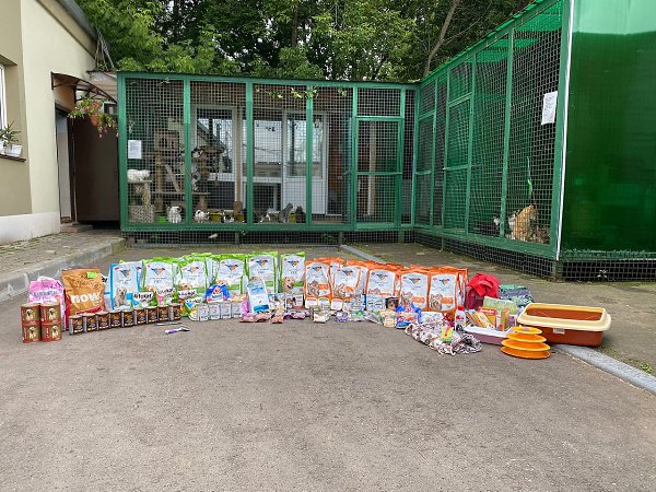 Подарки питомцам приютов. Слова благодарности выражаем всем неравнодушным людям, которые передают ... - 2