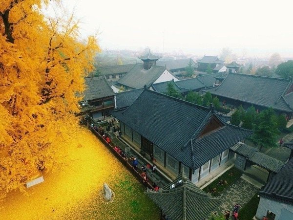 1400-eee eeo o aa  oae oo o eo a ee aa oo ... - 2