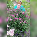 ���� �������, ������-��� - ��������� 23 ������� 2020 � ������ ���� ����������