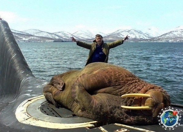  op!  opao?. aaaao!!))poco op p p coee a  pe a ...