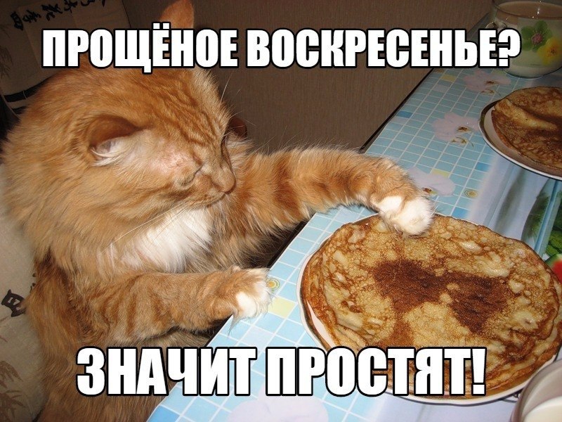   - 14  2021  11:26