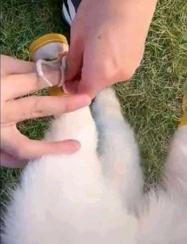  ,     - 2