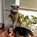 ���� ������, ������������ - ��������� 7 ������ 2021 � ������ ������