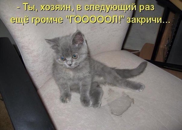    - 15  2021  16:13