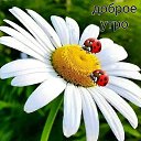 ���� ������, �������, 63 ���� - ��������� 21 �������� 2020 � ������ ���� ����������