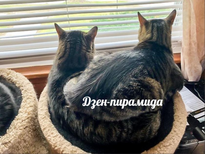  !))).    ?!