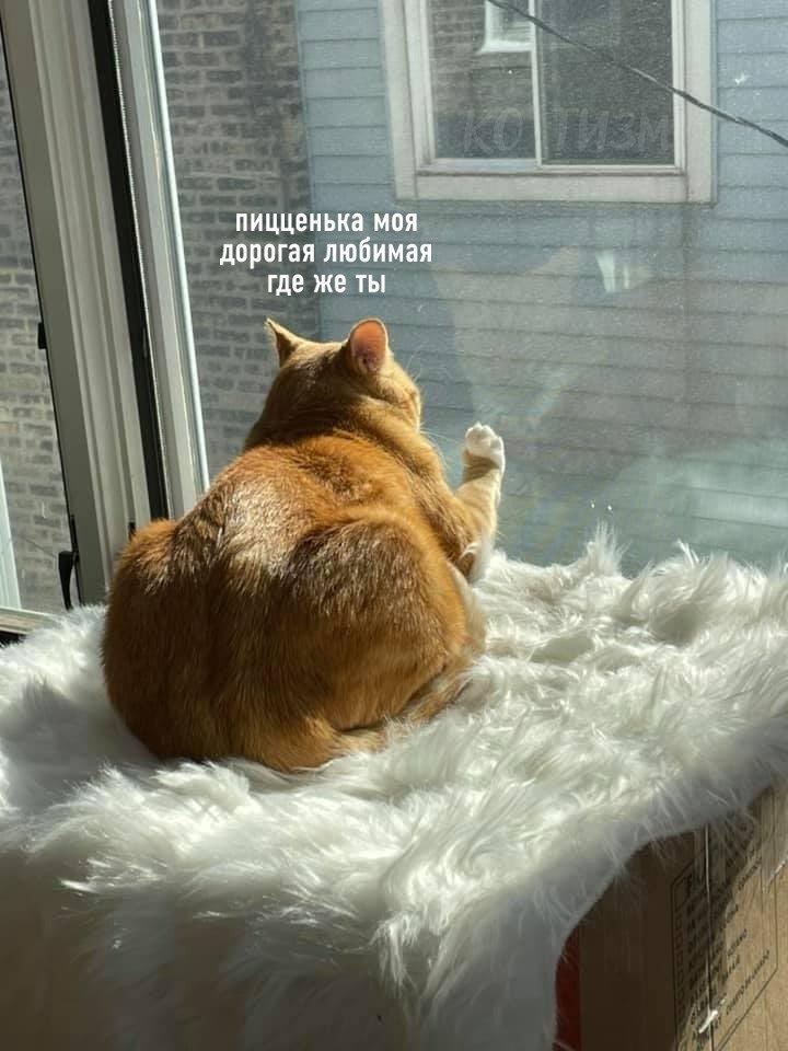 *    18:00*.  17:59:
