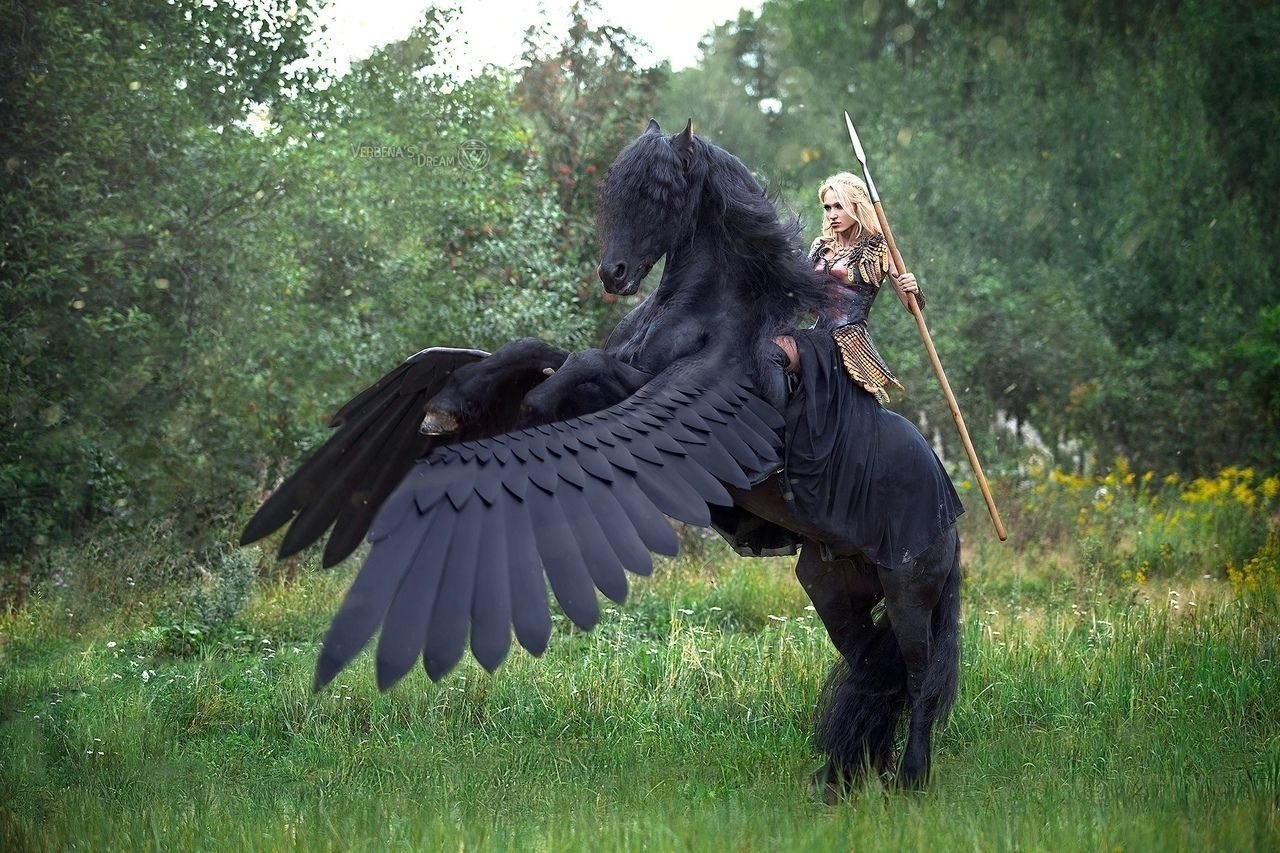 pa ocecc!!!  o pa.Co cooe  ye p, o  ... - 5