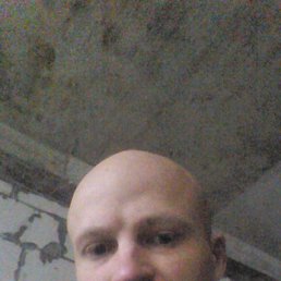 Silvestr, ������, 41 ���