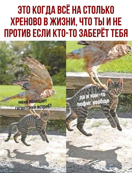 ������ - 15 ������� 2020 � 18:41
