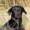 ���� ������, ������������ - ��������� 24 �������� 2020 � ������ ���� � ���