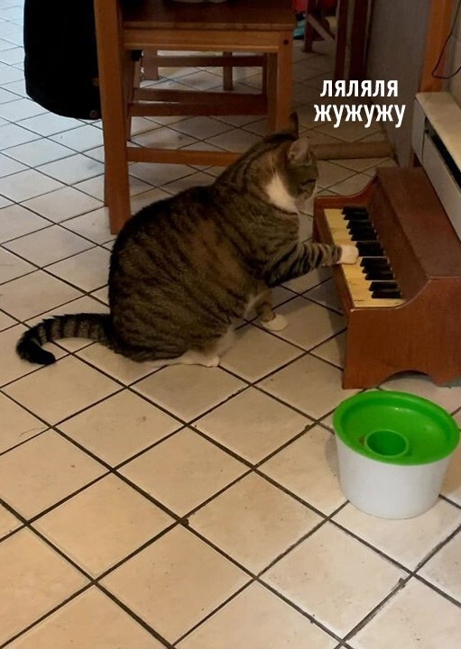  :