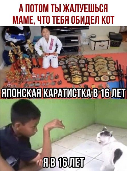 ������ - 22 ������� 2020 � 18:41
