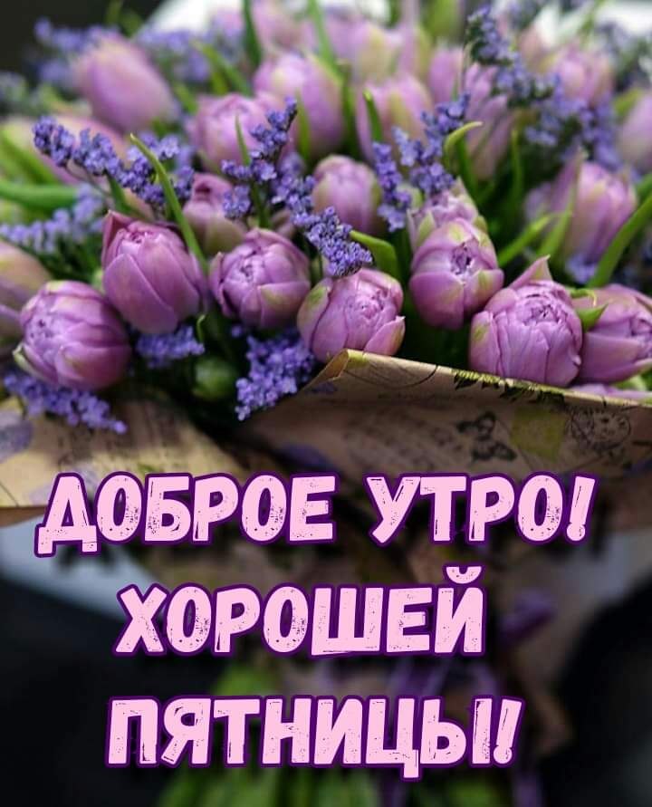   ,    . - 22  2020  23:00
