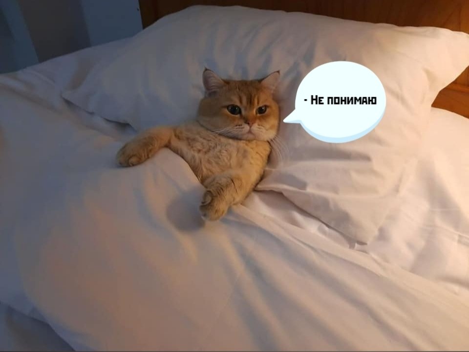       - 9  2020  09:46 - 2