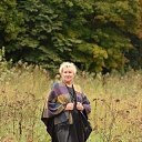 ���� �����, ���, 67 ��� - ��������� 2 ������� 2020 � ������ ���� ����������